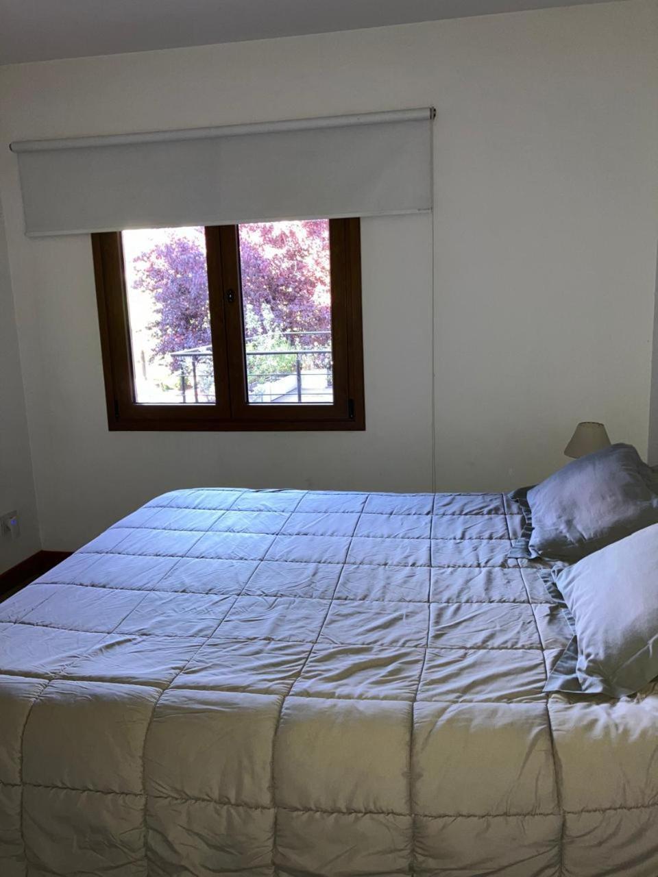 Comodo Departamento Centrico En San Martín de los Andes Екстериор снимка